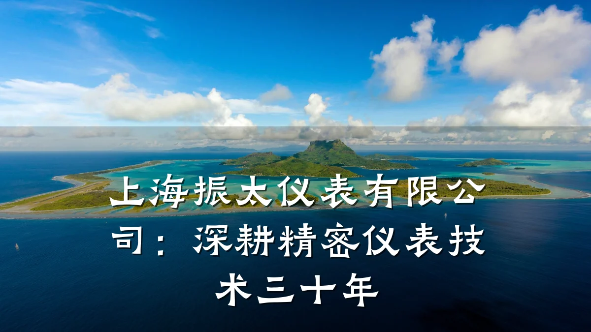 上海振太仪表有限公司:深耕精密仪表技术三十年