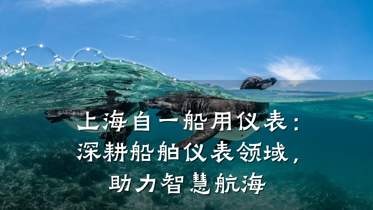 上海自一船用仪表:深耕船舶仪表领域,助力智慧航海