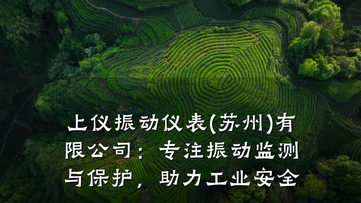 上仪振动仪表(苏州)有限公司:专注振动监测与保护,助力工业安全