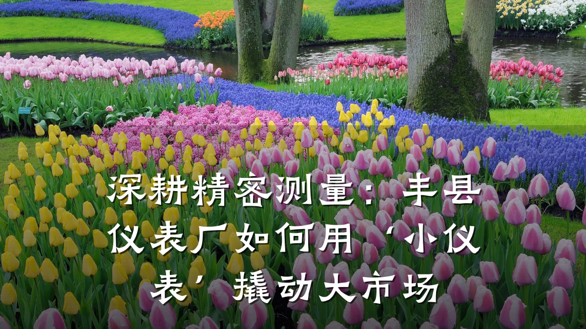 深耕精密测量：丰县仪表厂如何用‘小仪表’撬动大市场