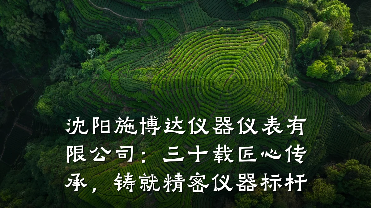 沈阳施博达仪器仪表有限公司:三十载匠心传承,铸就精密仪器标杆