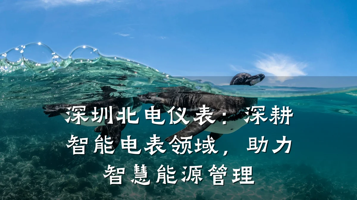 深圳北电仪表：深耕智能电表领域，助力智慧能源管理