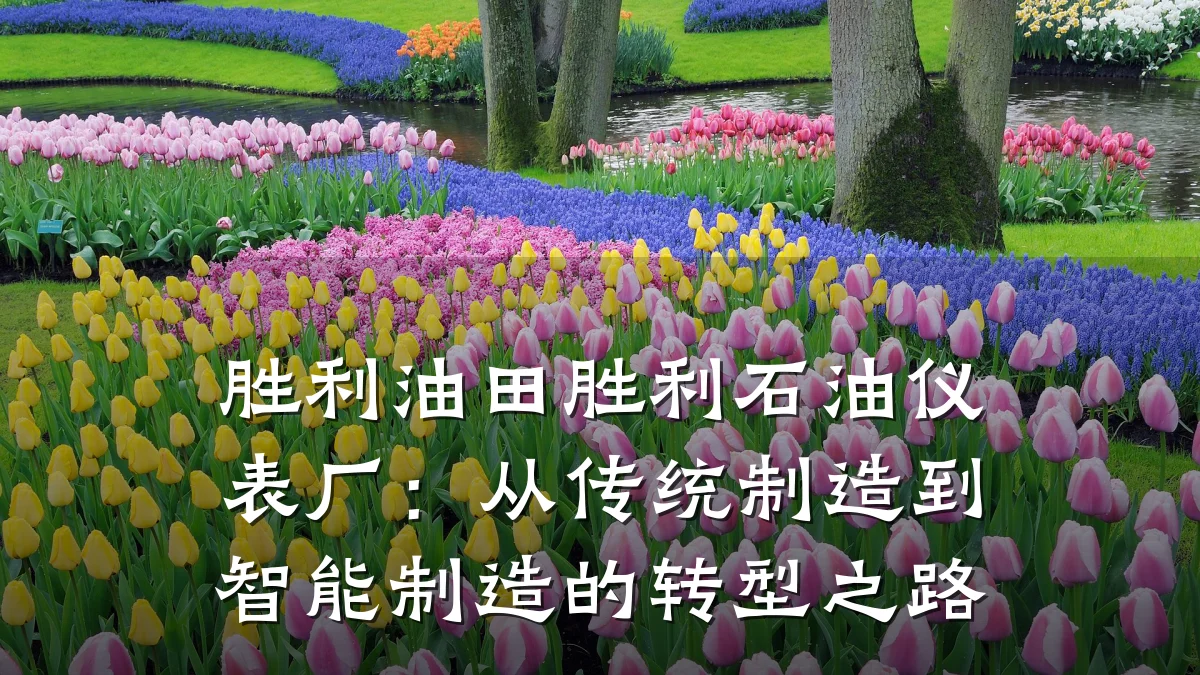 胜利油田胜利石油仪表厂:从传统制造到智能制造的转型之路