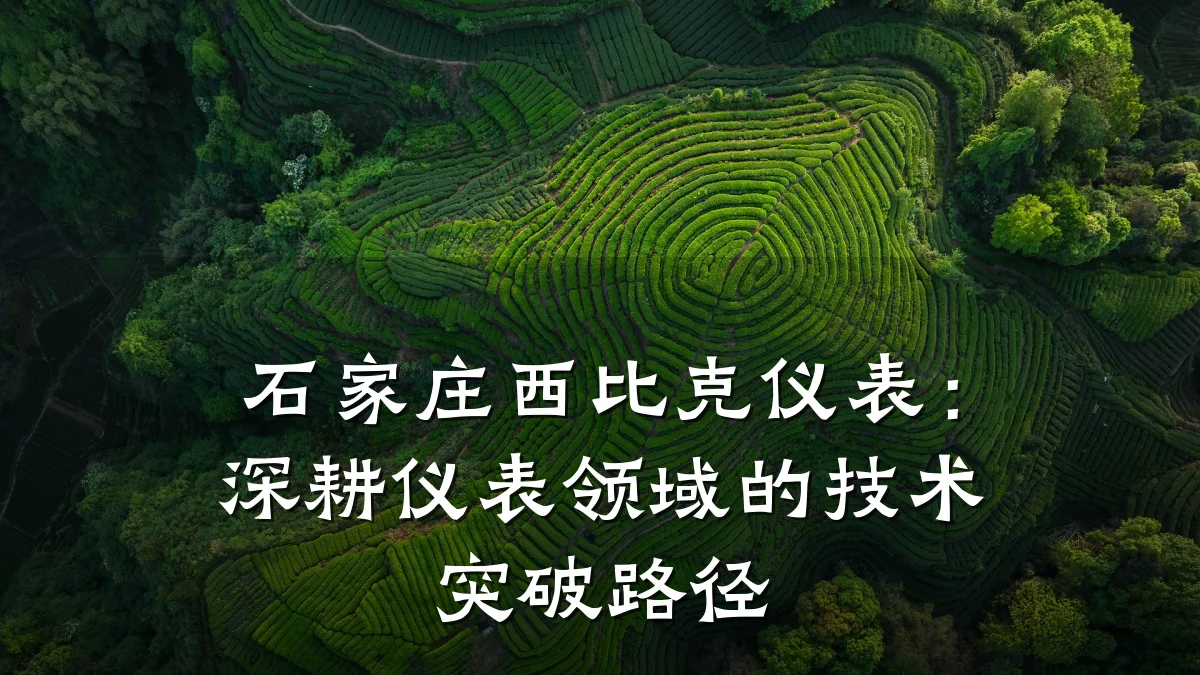 石家庄西比克仪表:深耕仪表领域的技术突破路径