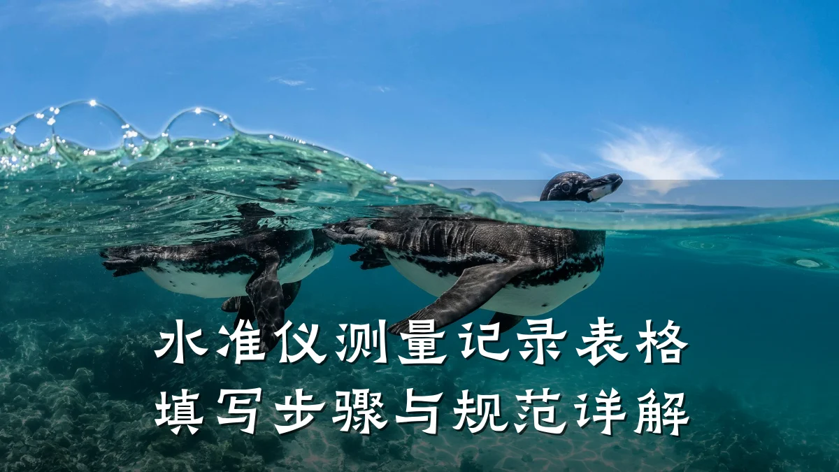 水准仪测量记录表格填写步骤与规范详解