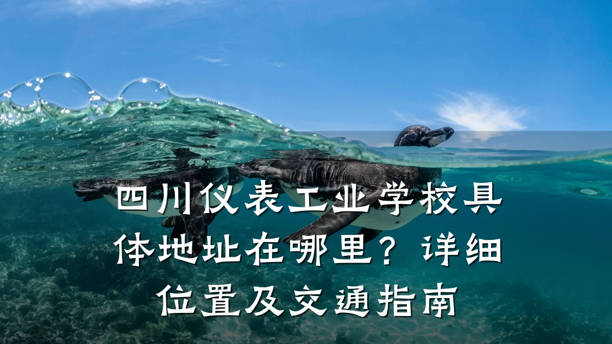 四川仪表工业学校具体地址在哪里?详细位置及交通指南