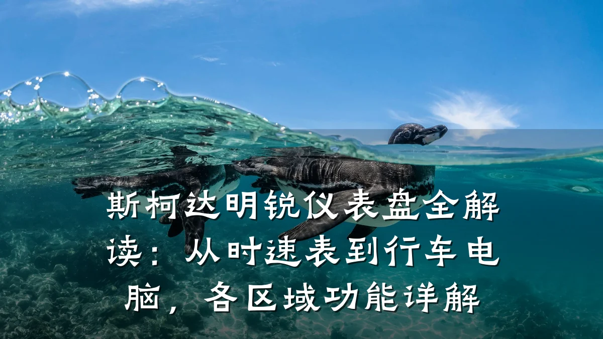 斯柯达明锐仪表盘全解读:从时速表到行车电脑,各区域功能详解