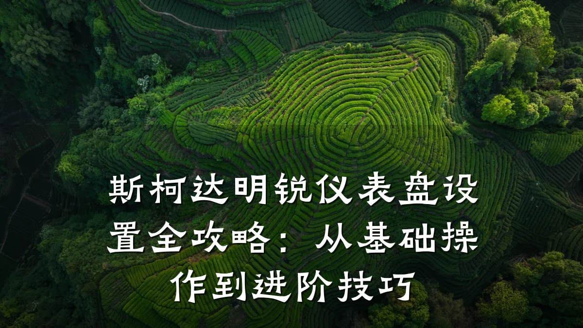 斯柯达明锐仪表盘设置全攻略:从基础操作到进阶技巧