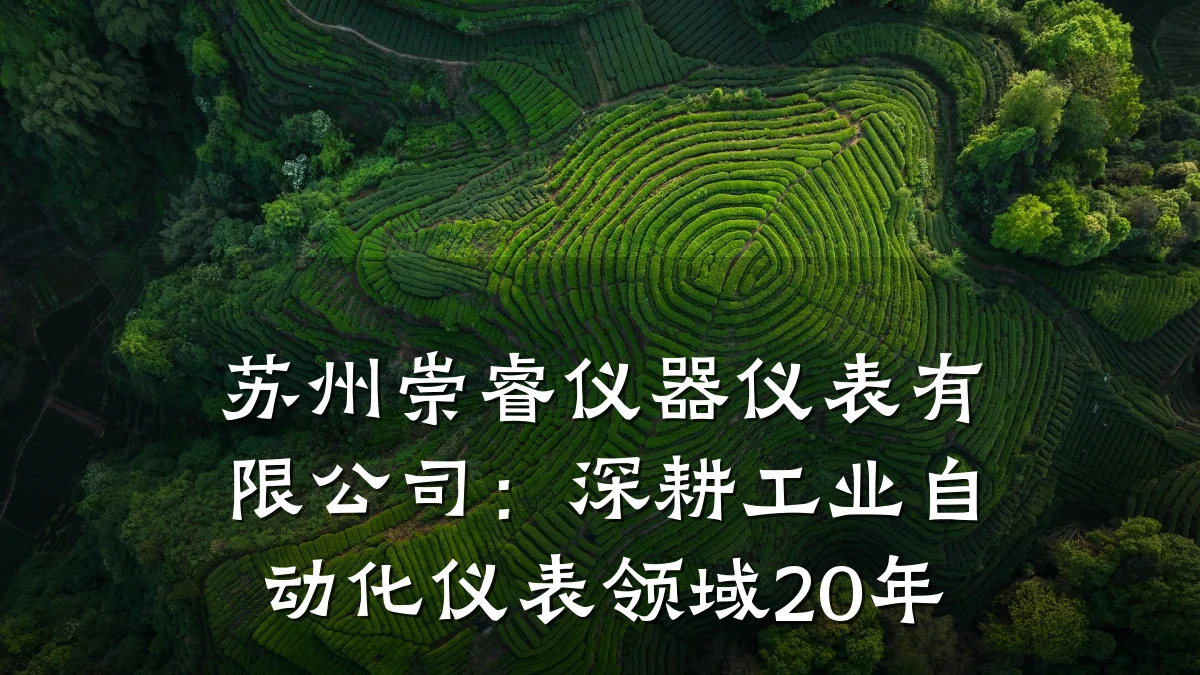 苏州崇睿仪器仪表有限公司：深耕工业自动化仪表领域20年
