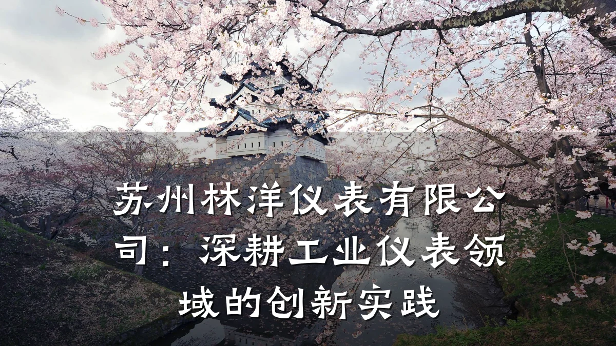 苏州林洋仪表有限公司:深耕工业仪表领域的创新实践