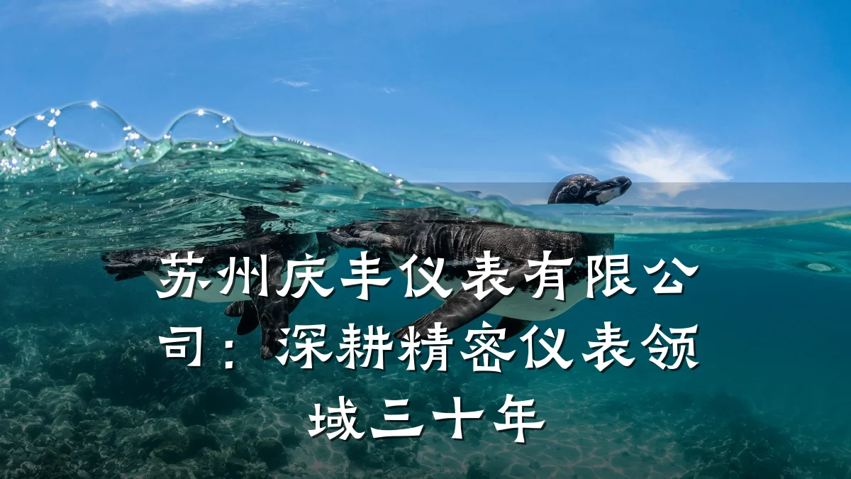 苏州庆丰仪表有限公司:深耕精密仪表领域三十年