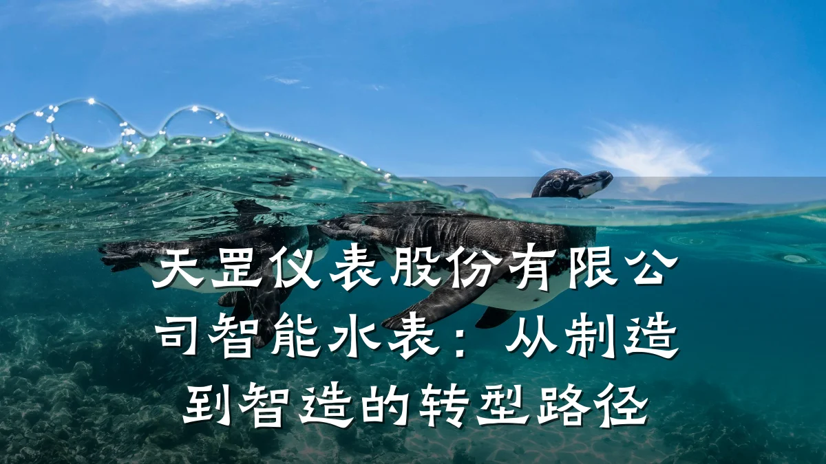 天罡仪表股份有限公司智能水表:从制造到智造的转型路径
