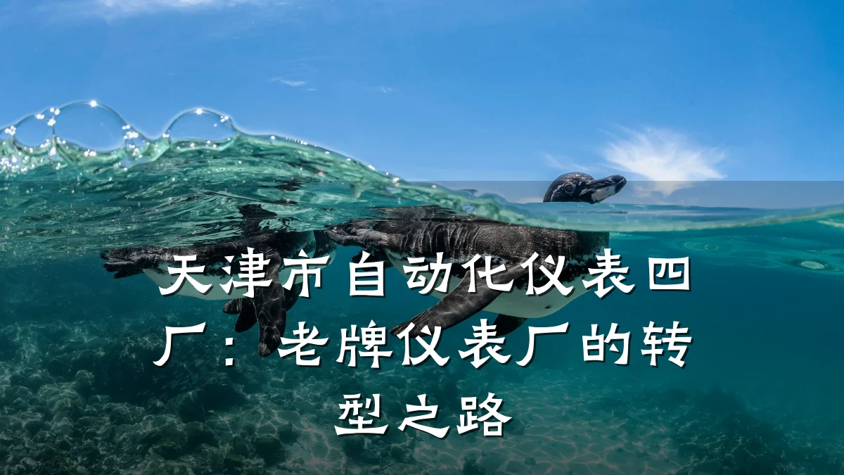 天津市自动化仪表四厂:老牌仪表厂的转型之路