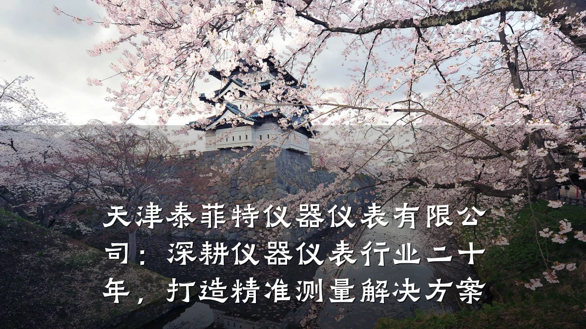 天津泰菲特仪器仪表有限公司:深耕仪器仪表行业二十年,打造精准测量解决方案