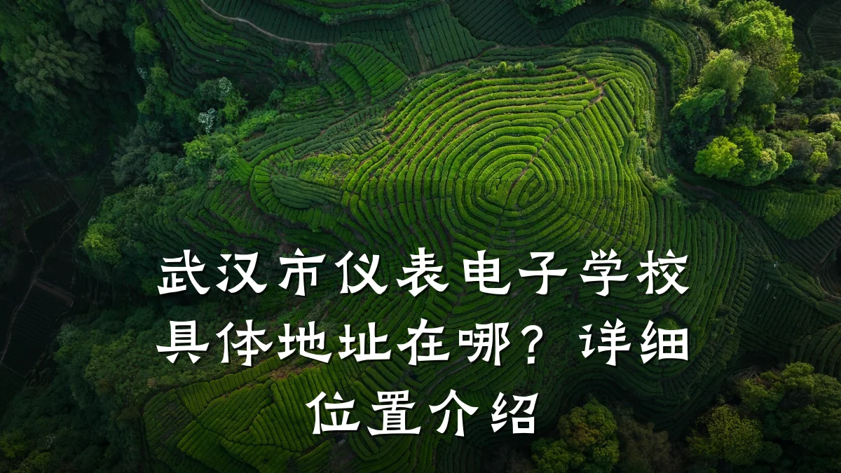武汉市仪表电子学校具体地址在哪？详细位置介绍