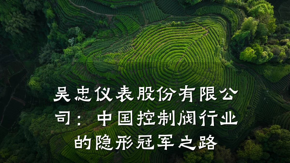 吴忠仪表股份有限公司：中国控制阀行业的隐形冠军之路