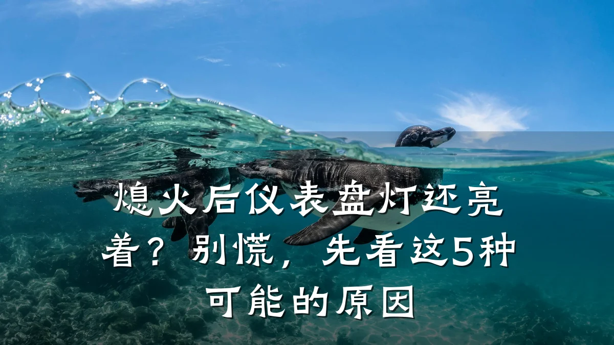 熄火后仪表盘灯还亮着？别慌，先看这5种可能的原因