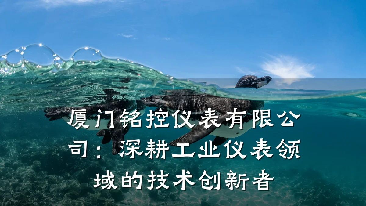 厦门铭控仪表有限公司:深耕工业仪表领域的技术创新者