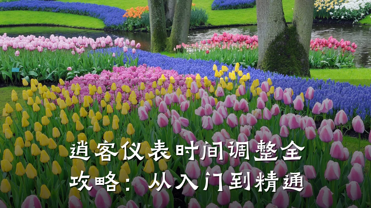 逍客仪表时间调整全攻略:从入门到精通