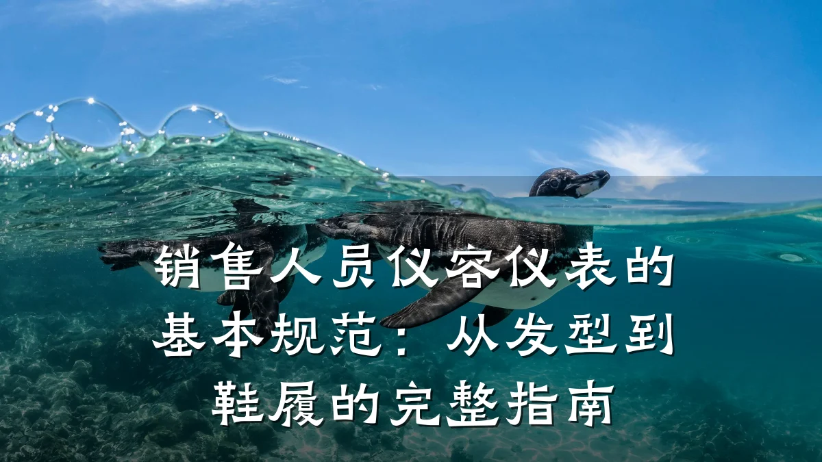 销售人员仪容仪表的基本规范:从发型到鞋履的完整指南