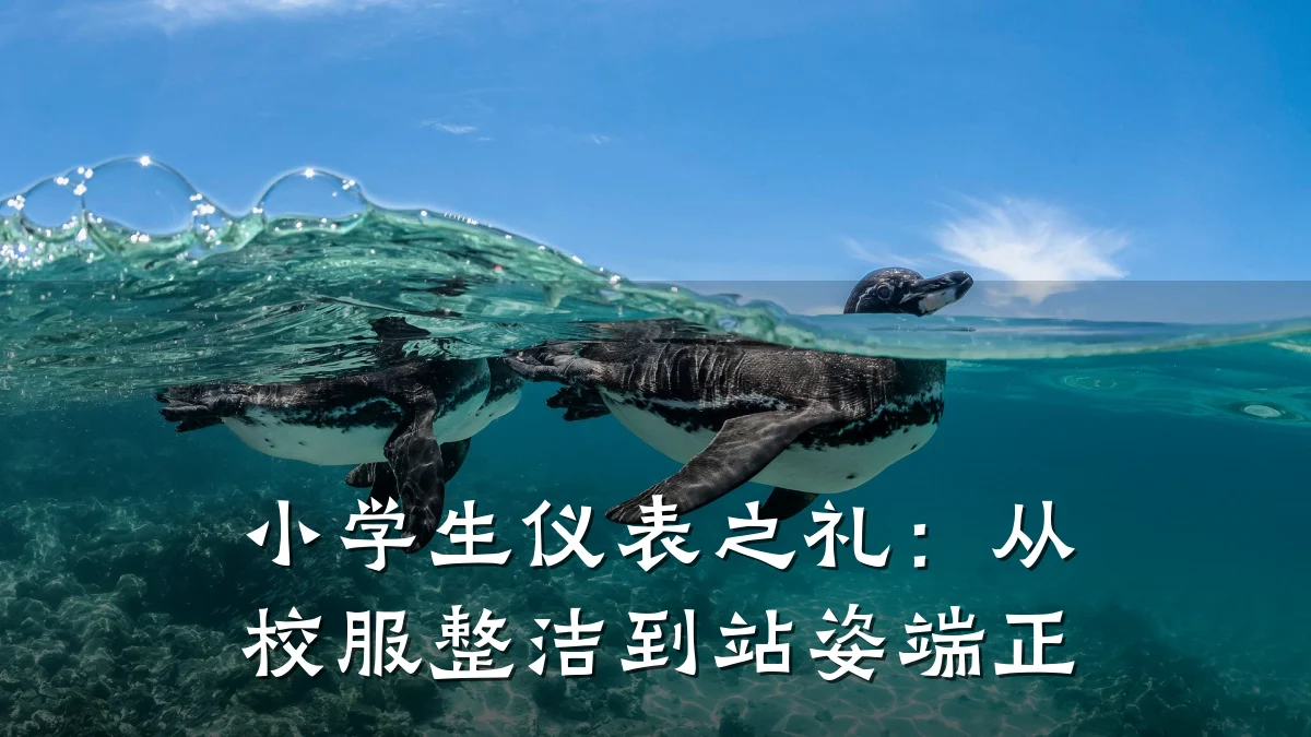 小学生仪表之礼:从校服整洁到站姿端正
