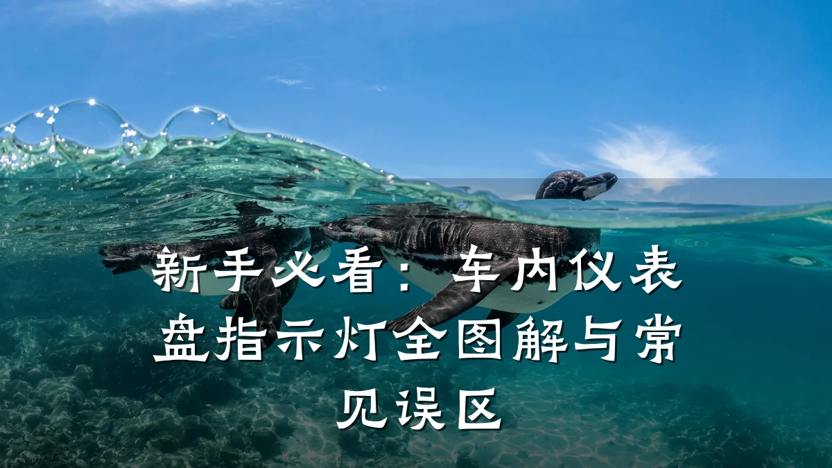 新手必看:车内仪表盘指示灯全图解与常见误区