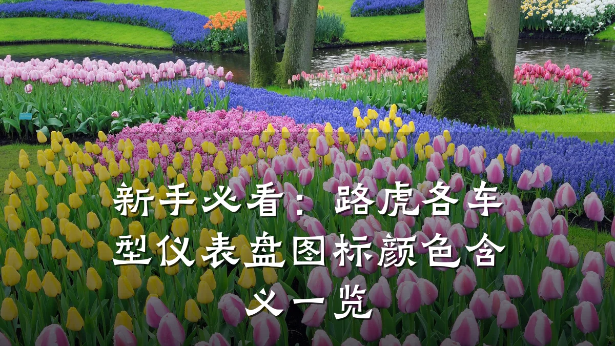 新手必看:路虎各车型仪表盘图标颜色含义一览