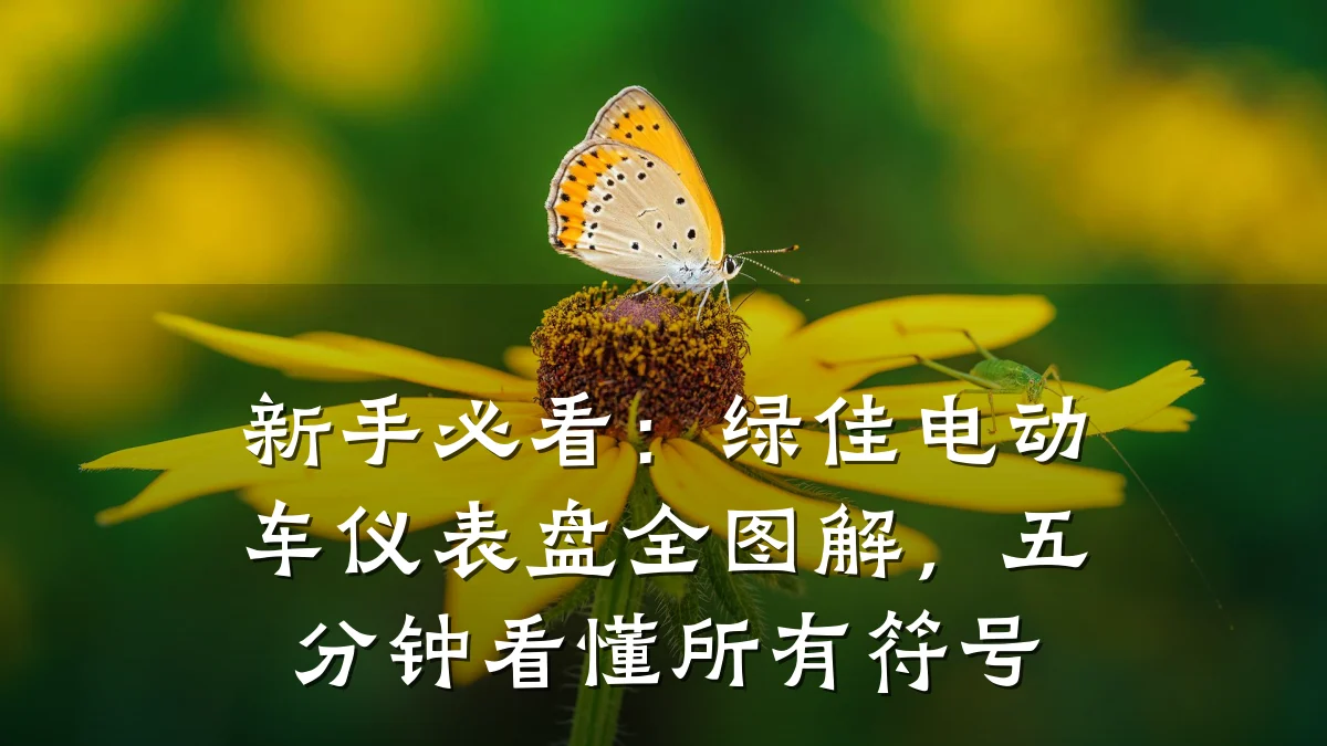 新手必看:绿佳电动车仪表盘全图解,五分钟看懂所有符号