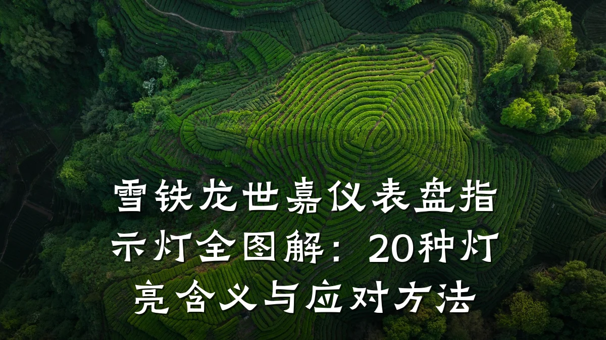 雪铁龙世嘉仪表盘指示灯全图解：20种灯亮含义与应对方法