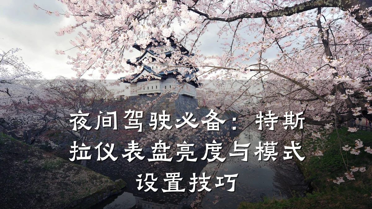 夜间驾驶必备:特斯拉仪表盘亮度与模式设置技巧