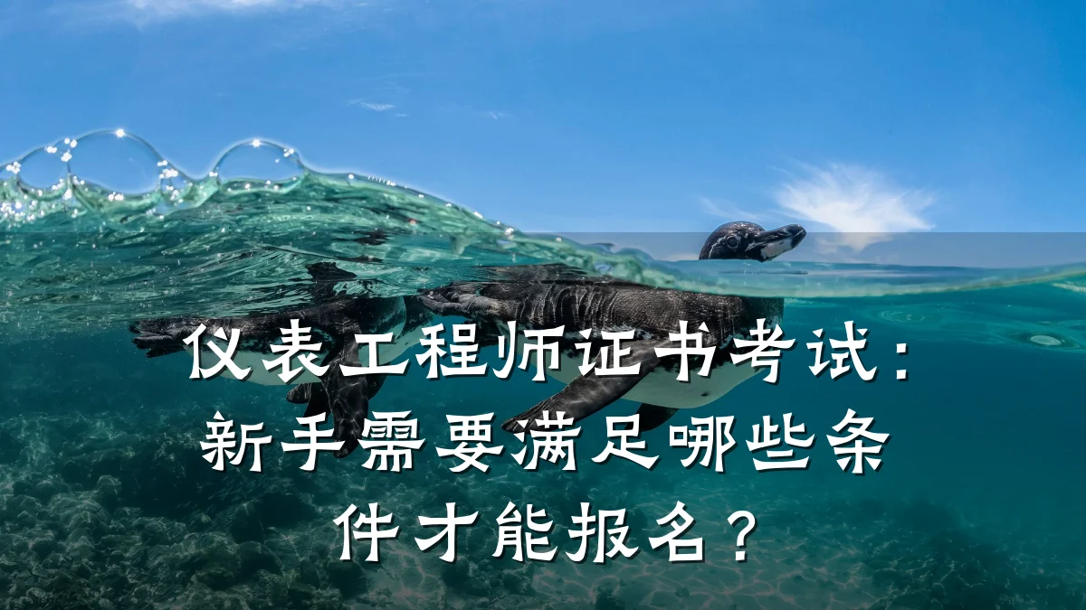 仪表工程师证书考试:新手需要满足哪些条件才能报名?