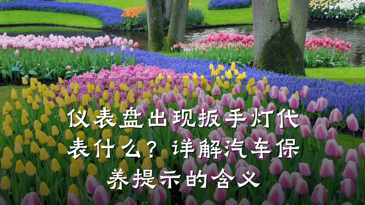 仪表盘出现扳手灯代表什么?详解汽车保养提示的含义