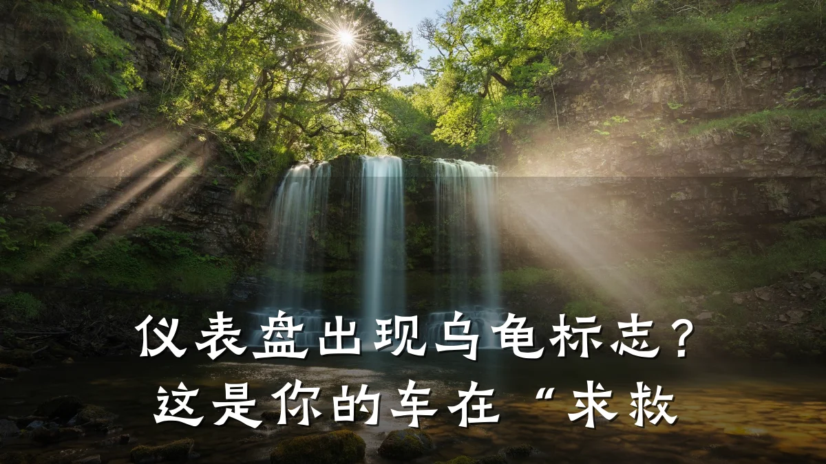 仪表盘出现乌龟标志?这是你的车在“求救