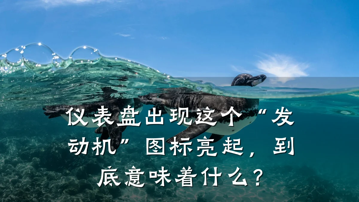 仪表盘出现这个“发动机”图标亮起,到底意味着什么?