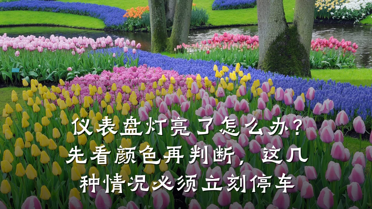 仪表盘灯亮了怎么办?先看颜色再判断,这几种情况必须立刻停车