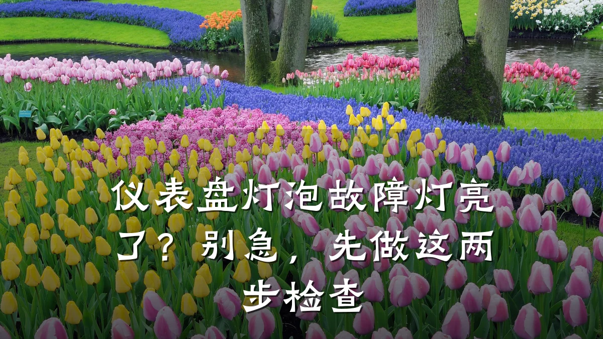 仪表盘灯泡故障灯亮了?别急,先做这两步检查
