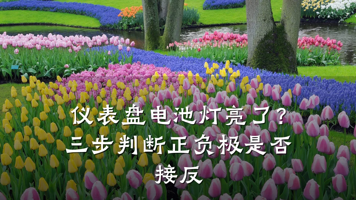 仪表盘电池灯亮了?三步判断正负极是否接反