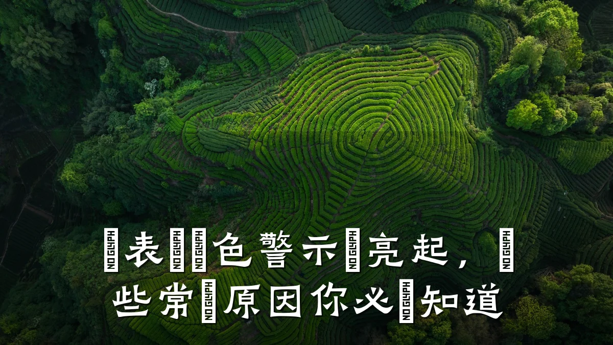 儀表盤黃色警示燈亮起,這些常見原因你必須知道