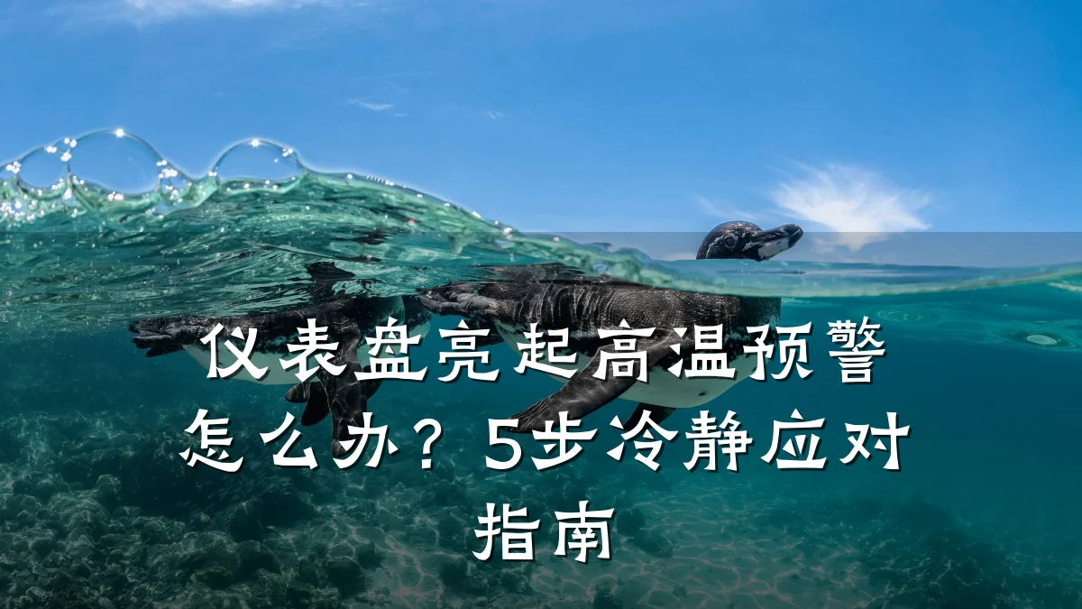 仪表盘亮起高温预警怎么办？5步冷静应对指南