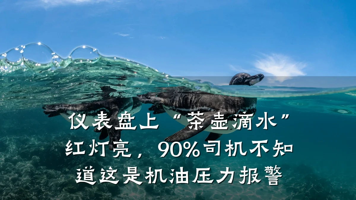 仪表盘上“茶壶滴水”红灯亮，90%司机不知道这是机油压力报警