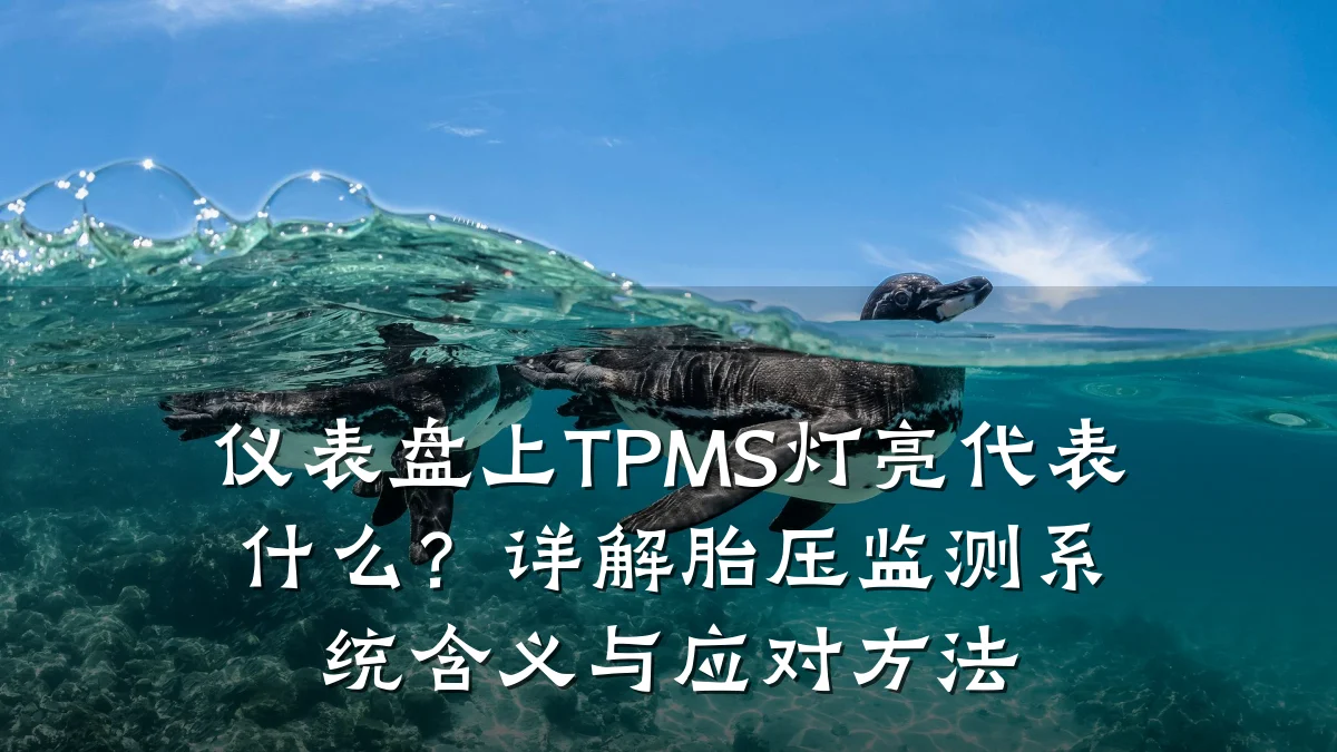 仪表盘上TPMS灯亮代表什么？详解胎压监测系统含义与应对方法
