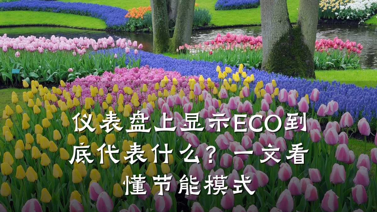 仪表盘上显示ECO到底代表什么?一文看懂节能模式