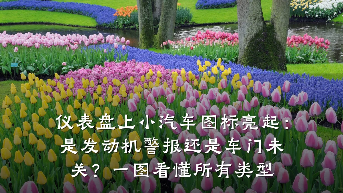 仪表盘上小汽车图标亮起：是发动机警报还是车门未关？一图看懂所有类型