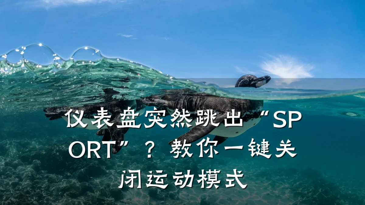 仪表盘突然跳出“SPORT”?教你一键关闭运动模式