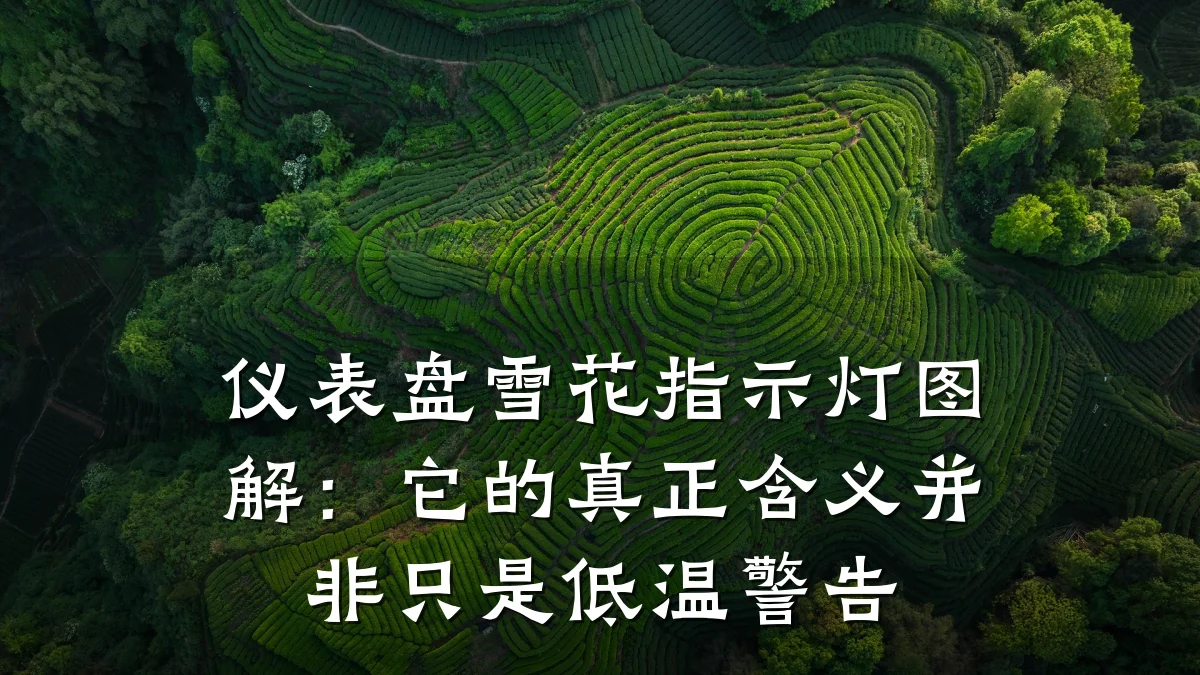仪表盘雪花指示灯图解:它的真正含义并非只是低温警告