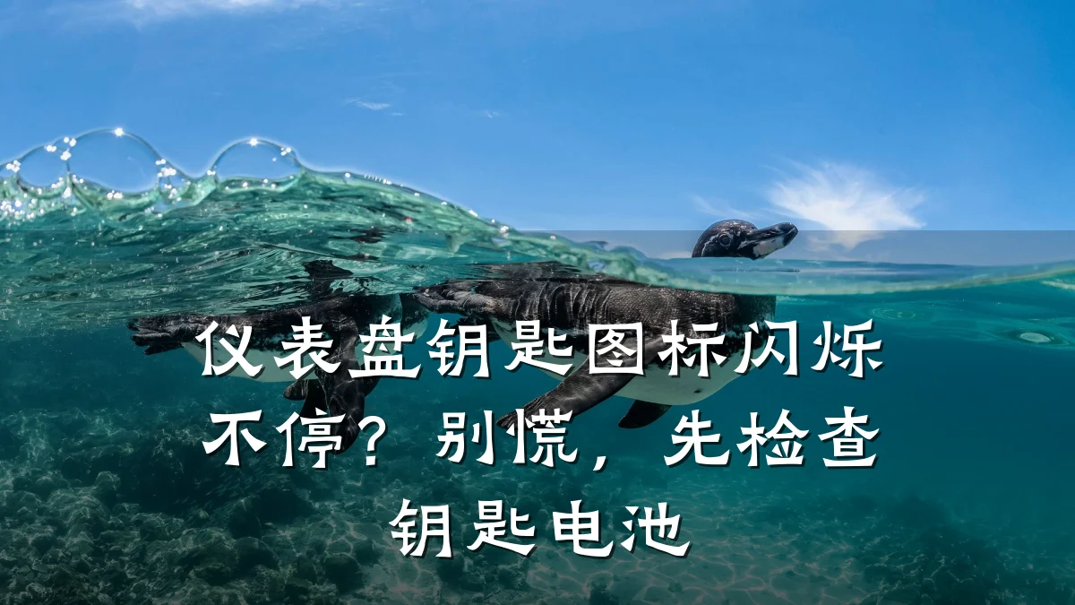 仪表盘钥匙图标闪烁不停?别慌,先检查钥匙电池