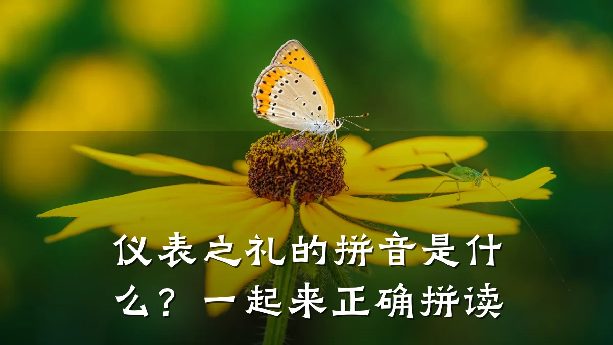 仪表之礼的拼音是什么？一起来正确拼读