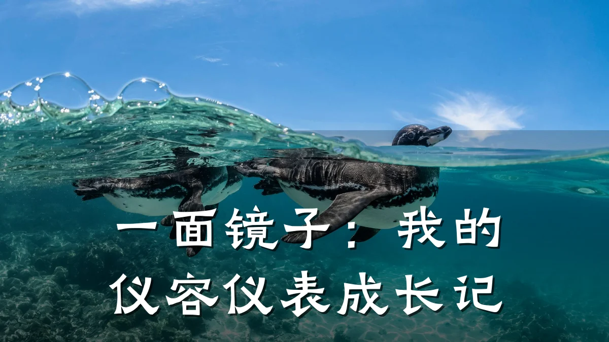 一面镜子:我的仪容仪表成长记
