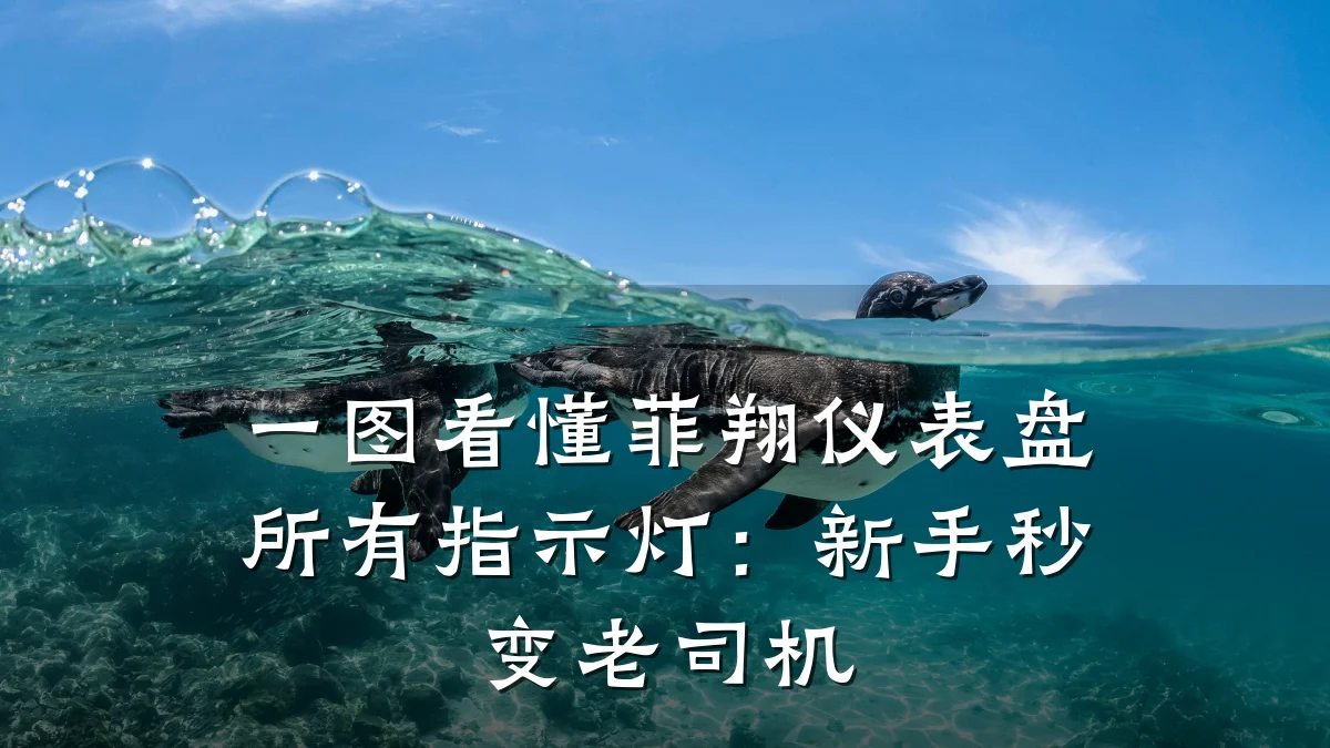 一图看懂菲翔仪表盘所有指示灯:新手秒变老司机