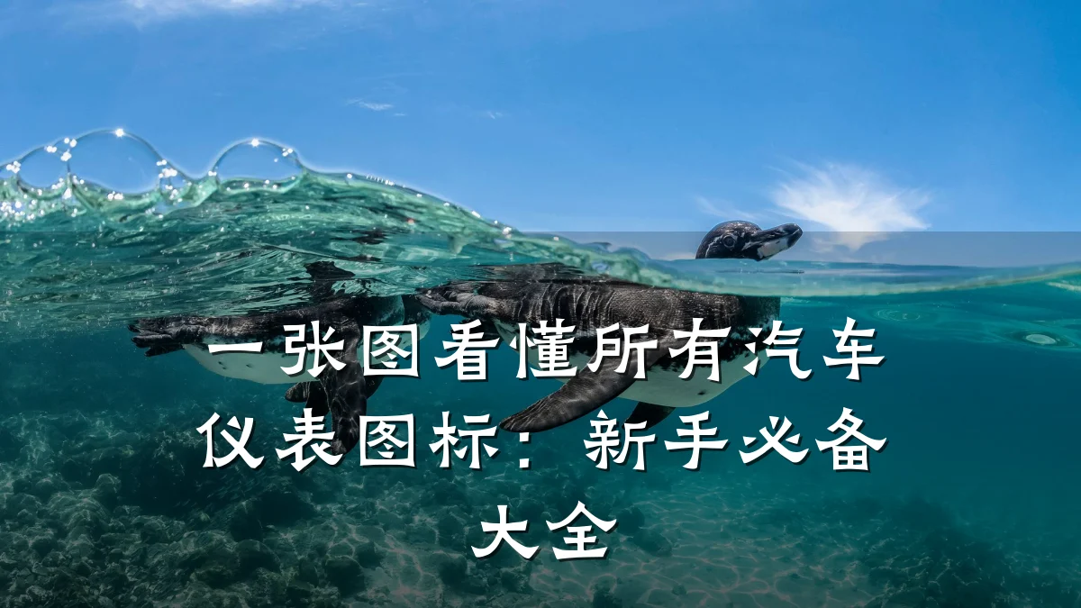 一张图看懂所有汽车仪表图标:新手必备大全